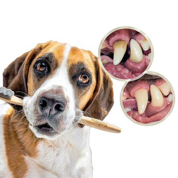 Oh Rigby Dog Toothbrush Biodegradable Ultra Soft Bristles-2