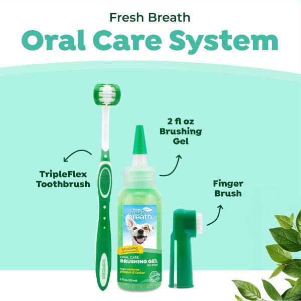 Cosmos Dog Toothbrush Kit Plaque Remover Small Large Dog-2