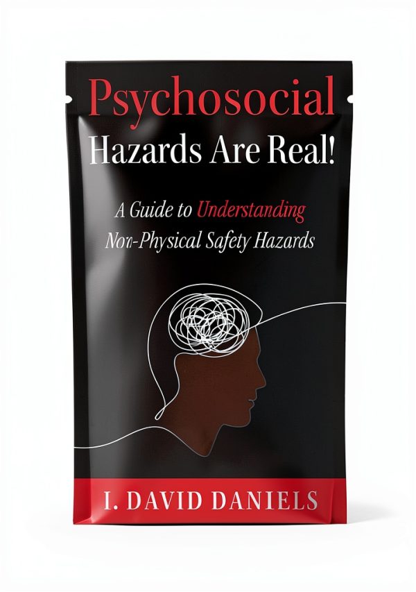 Manuscripts Publishing Work Health Safety Kindle Book-0