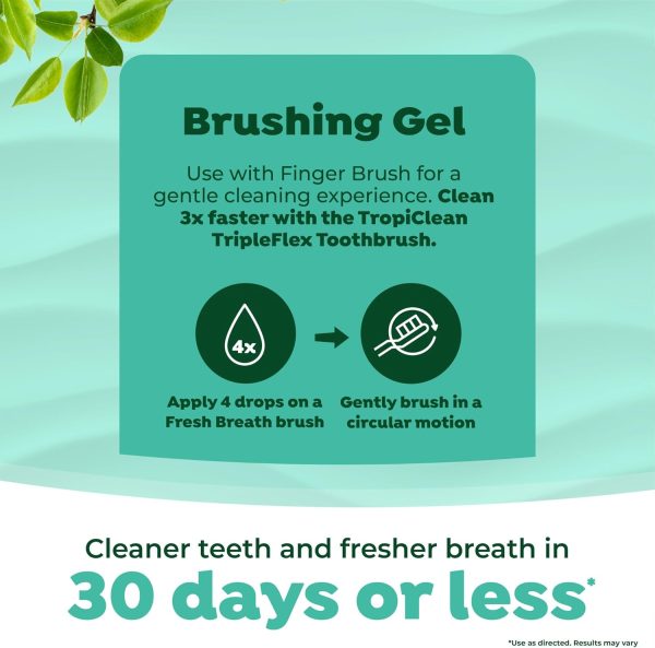 Cosmos Dog Toothbrush Kit Plaque Remover Small Large Dog-4