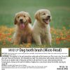Mind Up Micro Dog Toothbrush Ultra Small Dog Dental Care-5