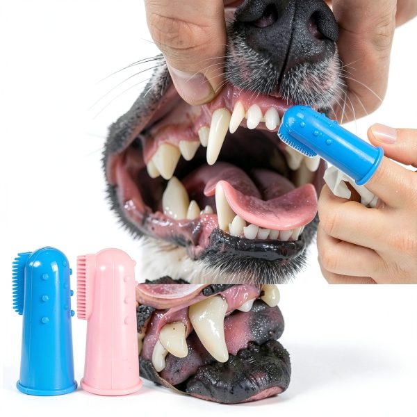 Qubccum Dog Toothbrush 8 Pcs Soft Hard Bristles Pet Dental-5