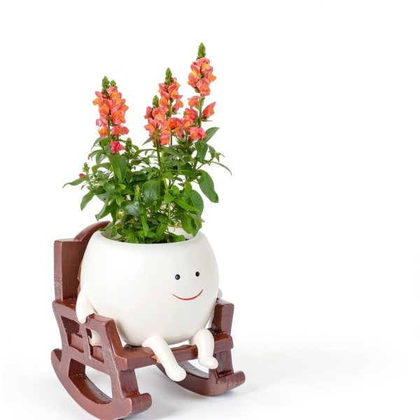 CONNOVA Smiley Face Hanging Planter Resin Garden Pot-5