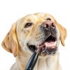 Litcuidi Dog Teeth Cleaning Kit Sonic Plaque Remover USB-5