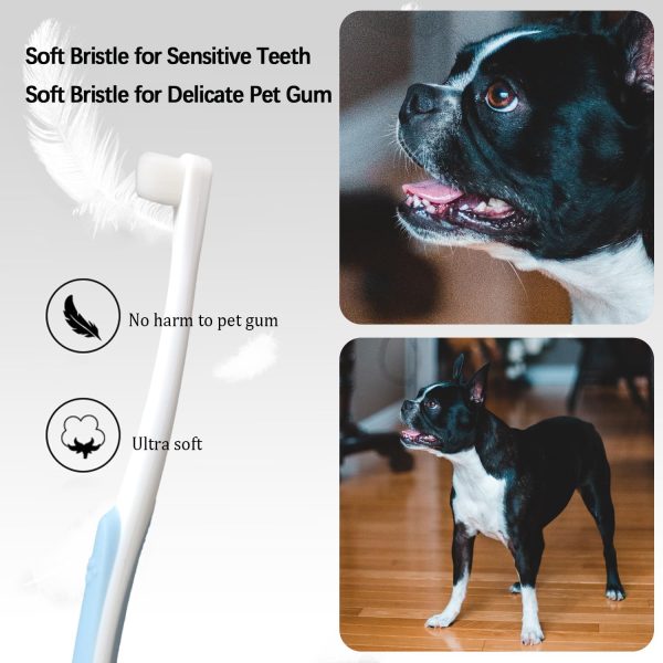 JGocot Microhead Pet Toothbrush Blue Green Tiny Brush Head-3