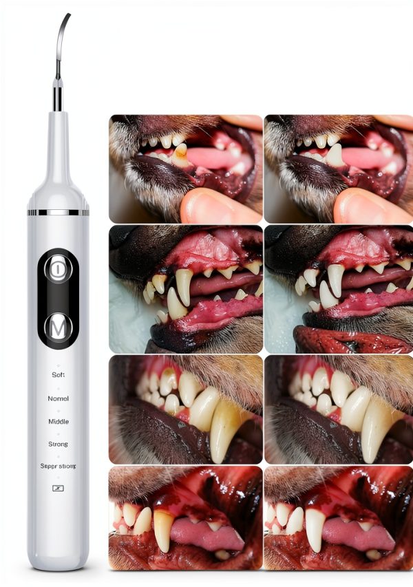 Nature Nerds Electric Pet Toothbrush Gum Protection 5 Modes-4