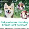 Cosmos Dog Toothbrush Kit Plaque Remover Small Large Dog-5