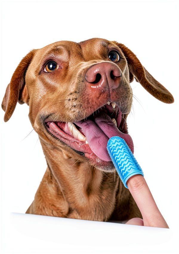 Babove Dog Finger Toothbrush Food Grade Silicone 4 Pack-2