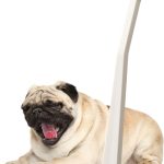 Mind Up Micro Dog Toothbrush Ultra Small Dog Dental Care-0