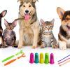 Zeyaa Pet Toothbrush Kit Triple Head Dog Cat Dental Care-1