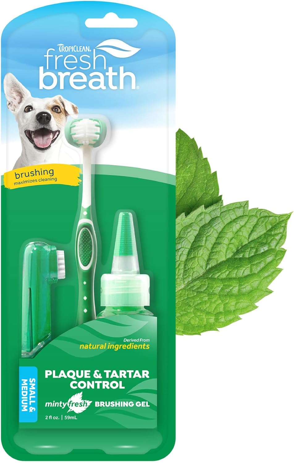 Cosmos Dog Toothbrush Kit components displayed on a clean surface