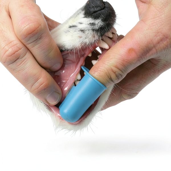 Zeyaa Pet Toothbrush Kit Triple Head Dog Cat Dental Care-3