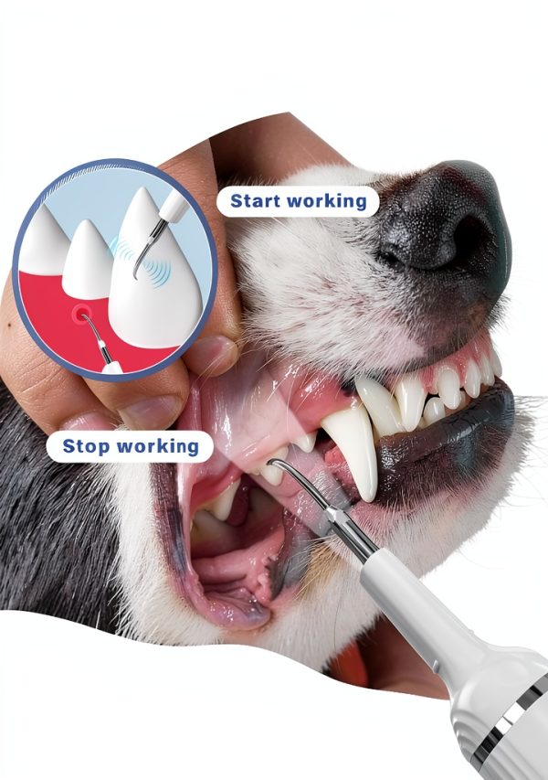 Nature Nerds Electric Pet Toothbrush Gum Protection 5 Modes-1