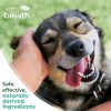 Cosmos Dog Toothbrush Kit Plaque Remover Small Large Dog-7