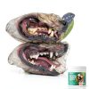RunyePet Dog Cat Dental Wipes Finger Wipes Cleaning Kit-2