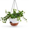 Vanslogreen Hanging Planter Set 2‑Piece 8″ White Plastic Self‑Watering-4