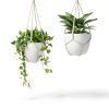 Garini Macrame Plant Hangers 3 Pack Assorted Sizes-4