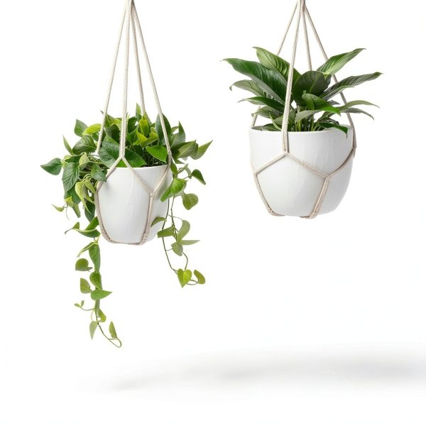 Garini Macrame Plant Hangers 3 Pack Assorted Sizes-4