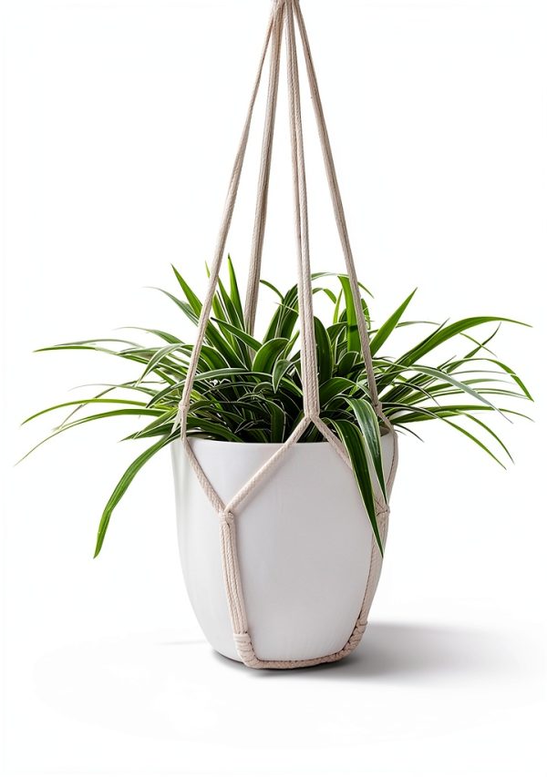 Garini Macrame Plant Hangers 3 Pack Assorted Sizes-3