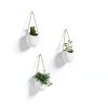 Ceramic Wall Planter Set Kazai Modern Matte Design-3