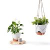 GARDIFE Hanging Planter 8" Set with Self Watering Saucer – White-5