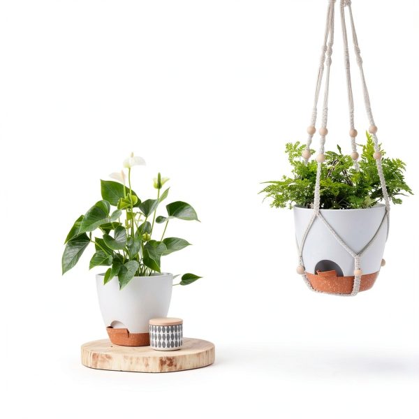 GARDIFE Hanging Planter 8" Set with Self Watering Saucer – White-5