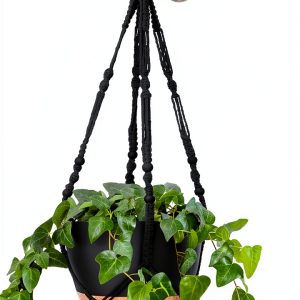 Hanging Planter GARDIFE 10 Inch Matte Black Self Watering Set-0