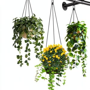 Uoveya Metal Hanging Plant Hanger 47.5in Black Wall‑Mounted Set-0
